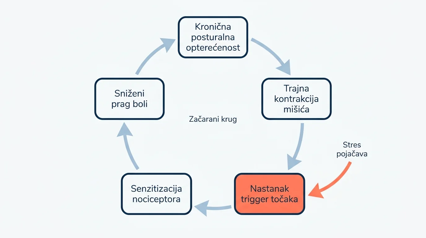 Kružni dijagram nastanka trigger točaka i kronične boli u vratu