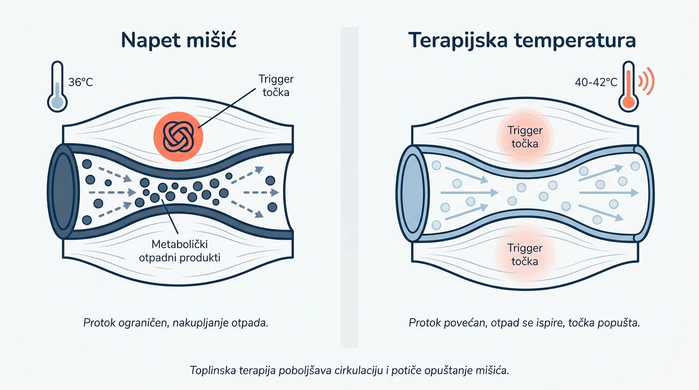 Dijagram usporedbe protoka krvi u napetom mišiću nasuprot mišiću pri terapijskoj temperaturi